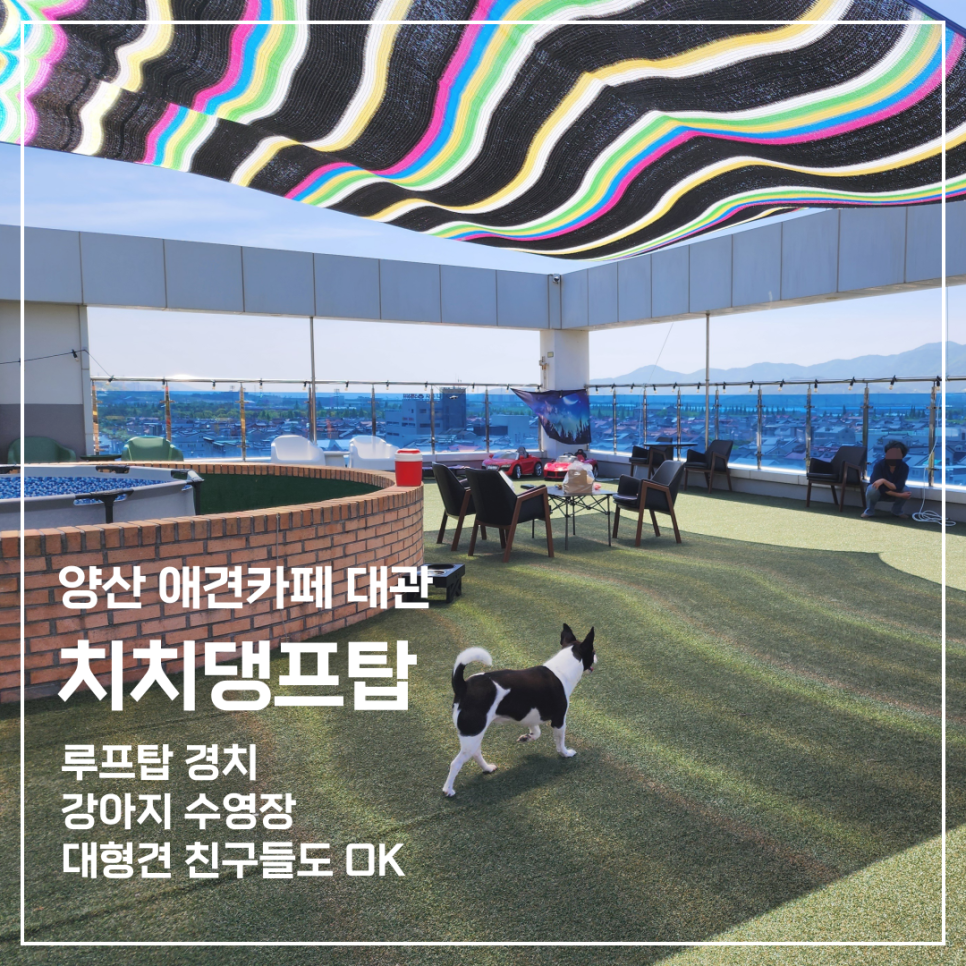 치치댕프탑 이미지