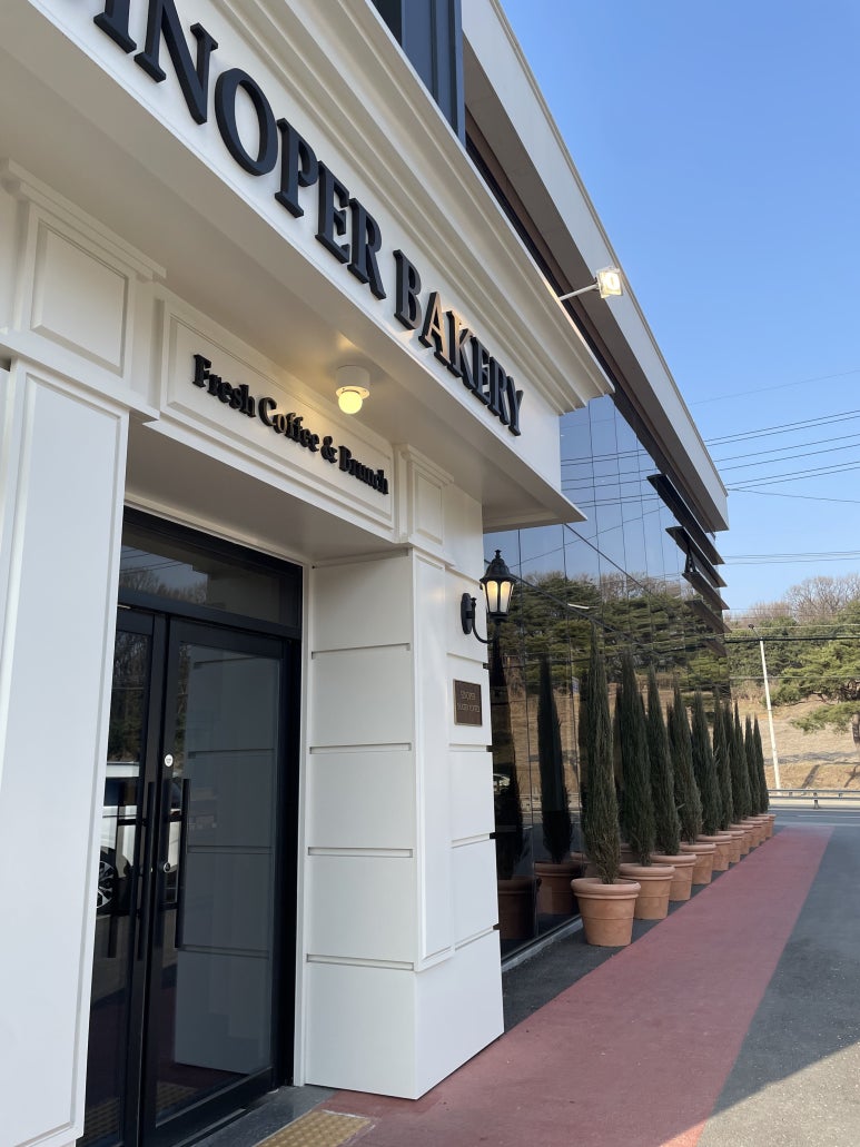 시노퍼 이미지