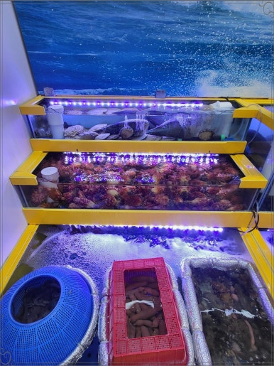 활어종합수족관 이미지