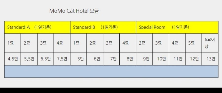 노원 고양이 호텔, 모모의고양이호텔 방문 후기 — 사진 2