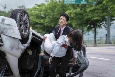 청와대경호무술 이미지