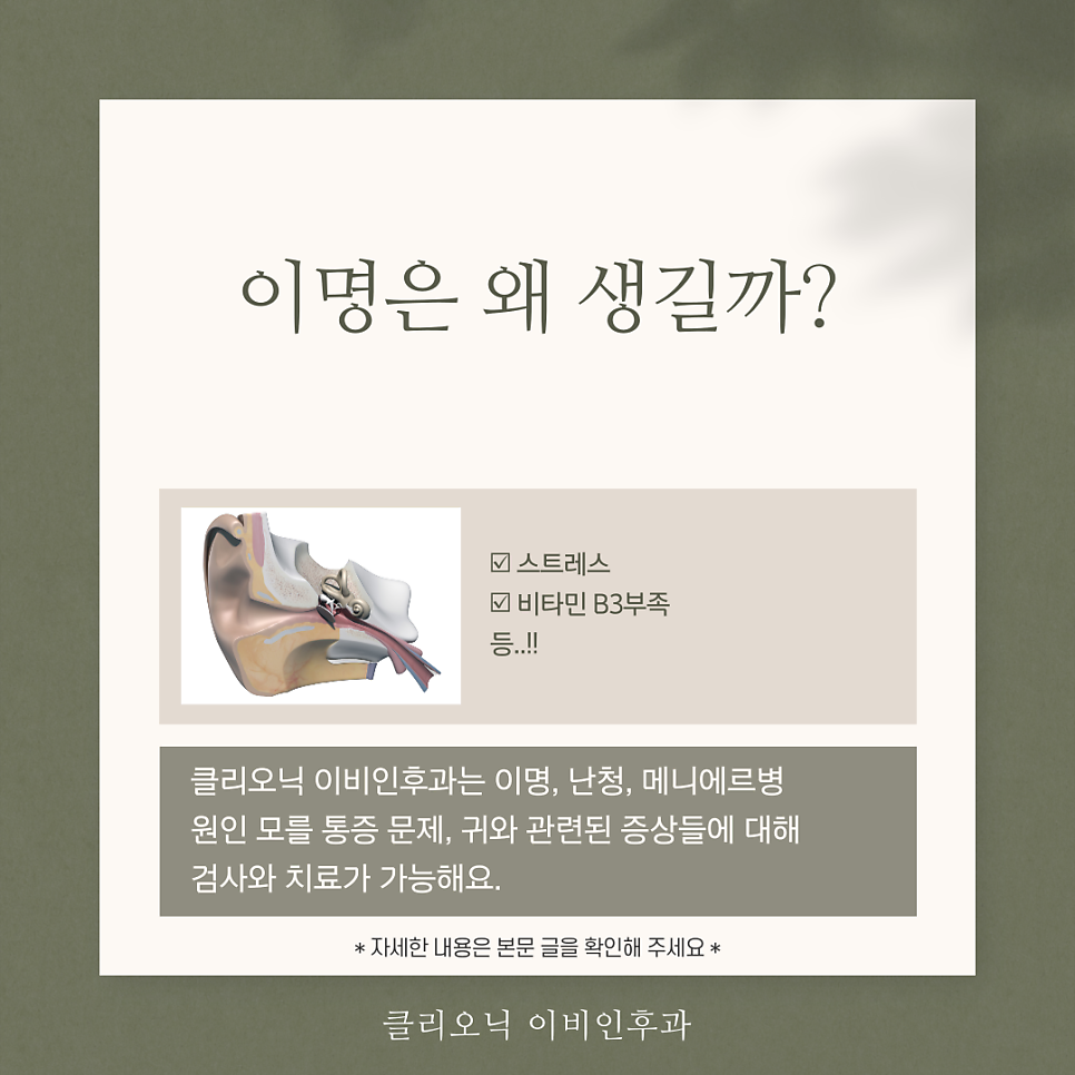 광이명이 이미지