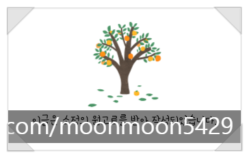 이자카야시선조촌점 이미지