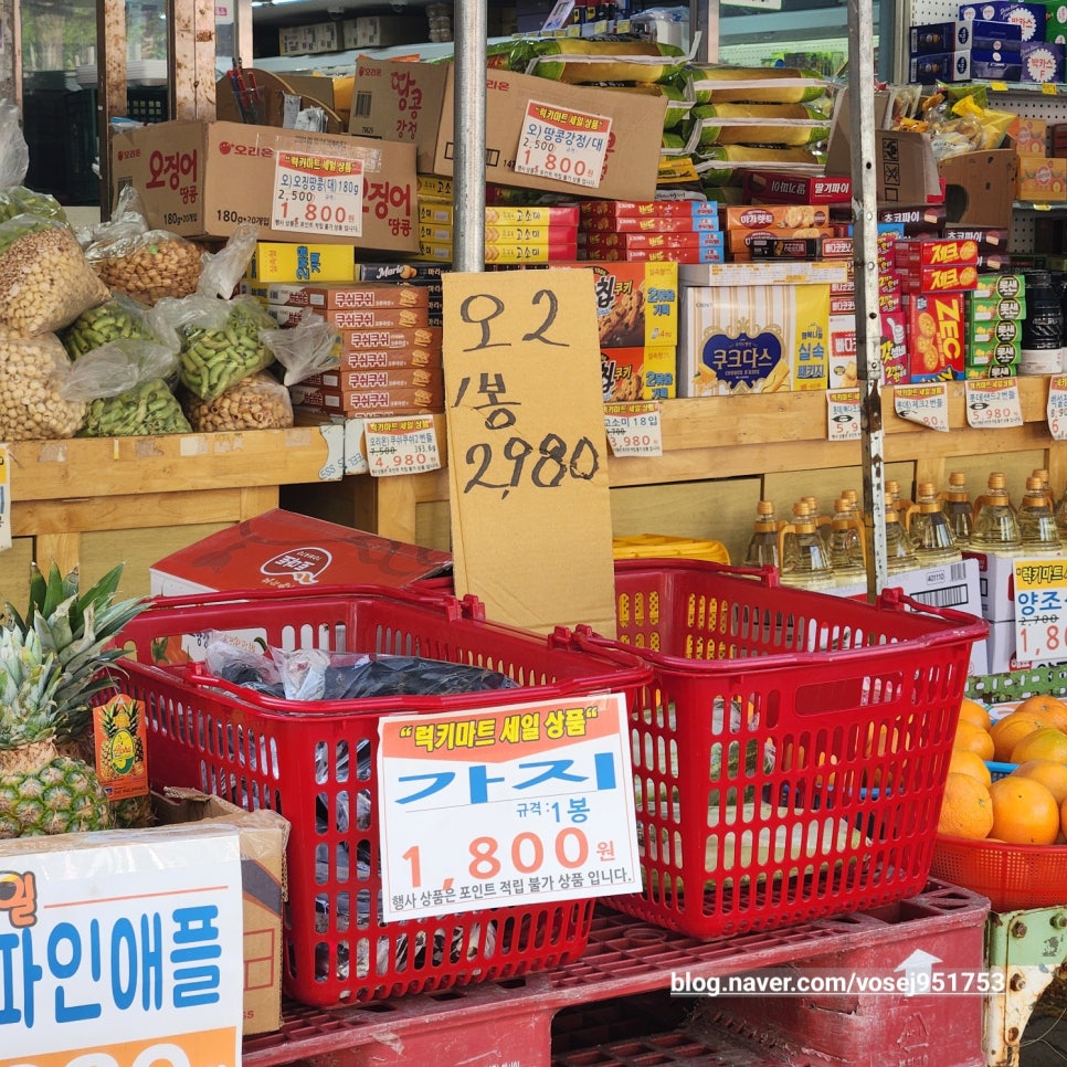 킹푸룻 이미지
