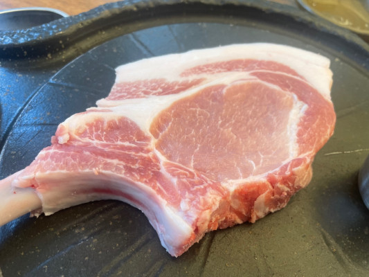 월드맛집 이미지