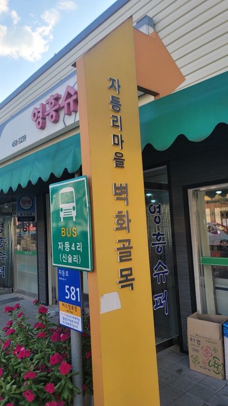 동철원농협 하나로마트 이미지