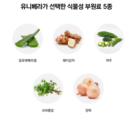 지플러스 이미지