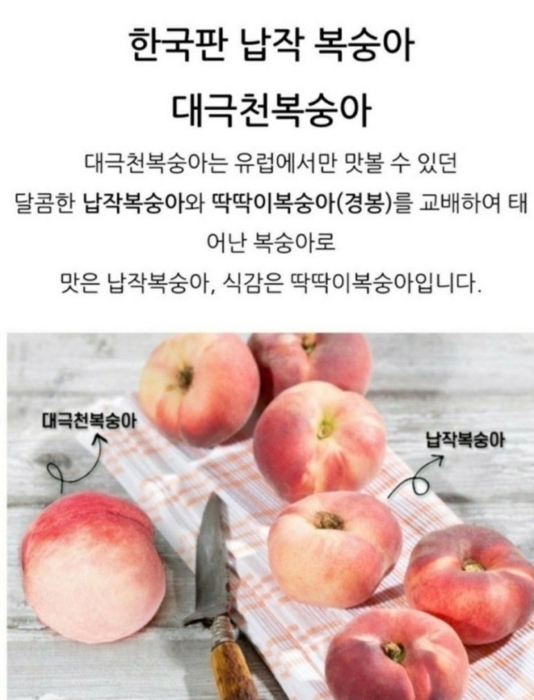 과일애 이미지