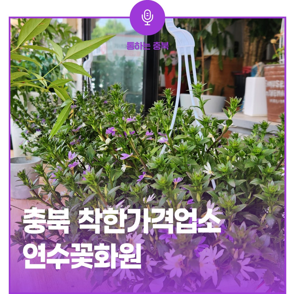 연수꽃화원 이미지
