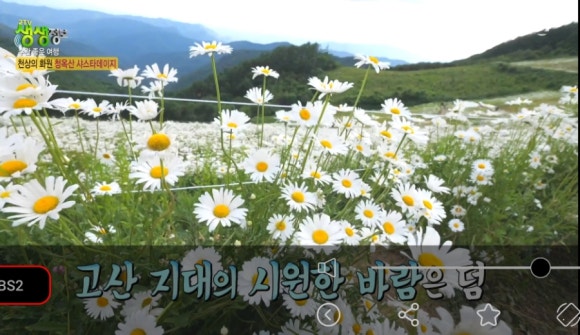 평창송어회 이미지