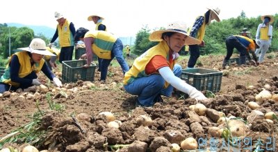 동부인력 이미지