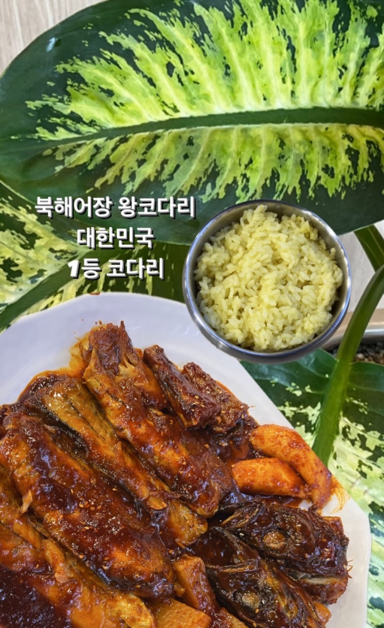 북해어장왕코다리 이미지