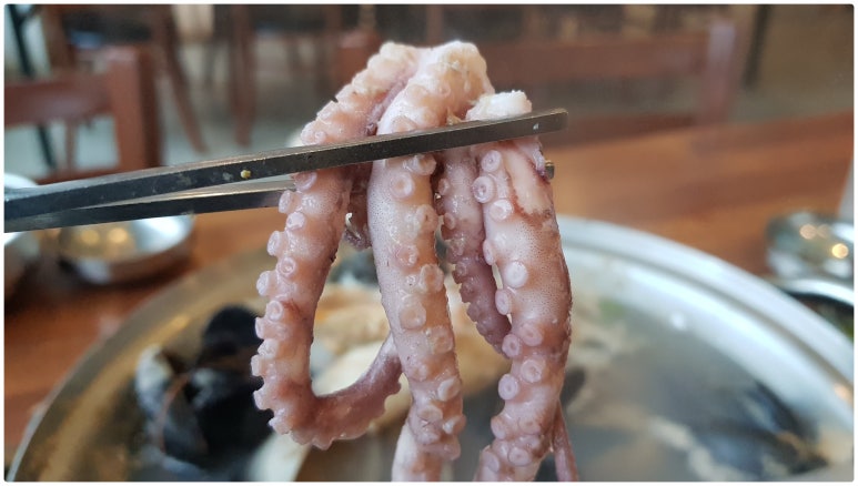 여러분칼국수 이미지