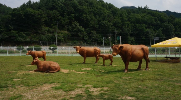 늘푸름유통 이미지