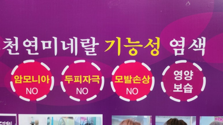 큐사랑구미형곡 이미지