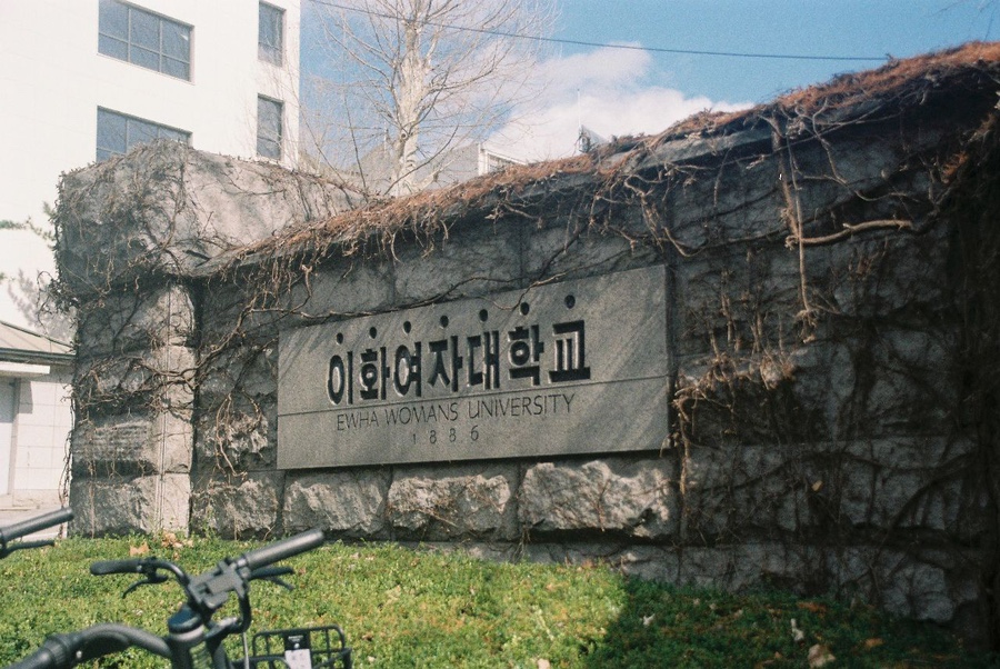 봄이화 이미지