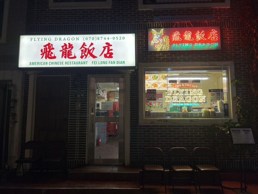 플라잉드래곤 이미지