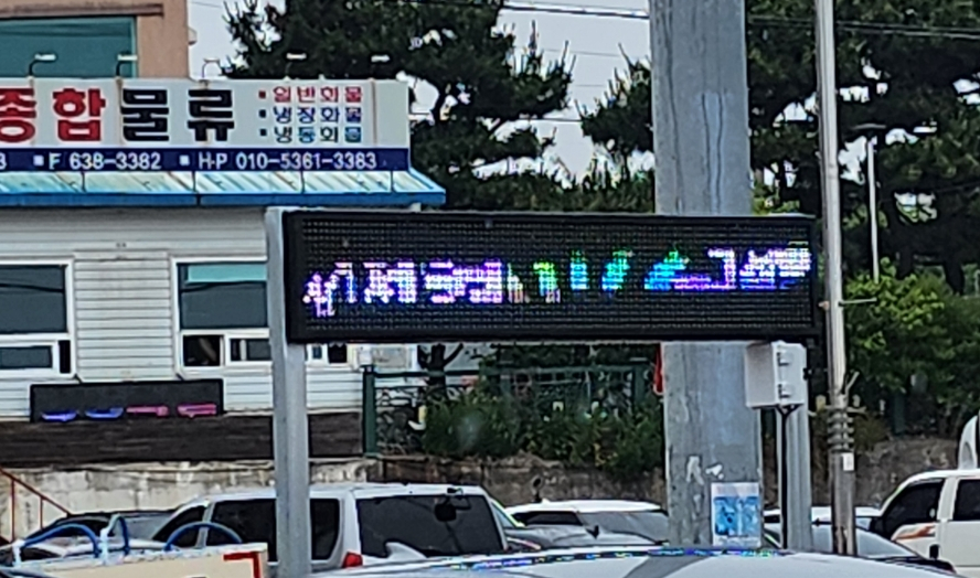 유신호 이미지