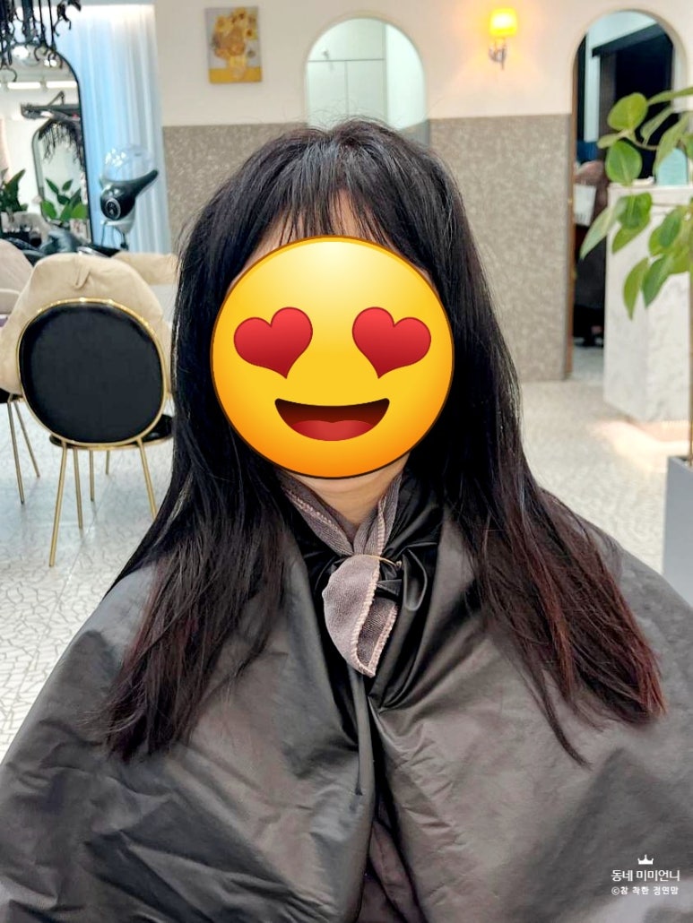 더 머리잘하는집 이미지