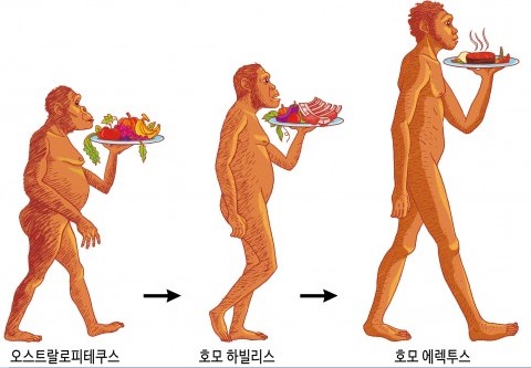 (주)동아축산 이미지