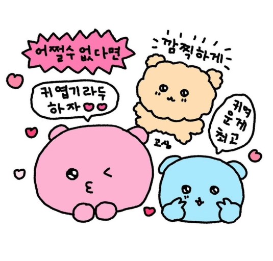 스포데이피트니스 이미지
