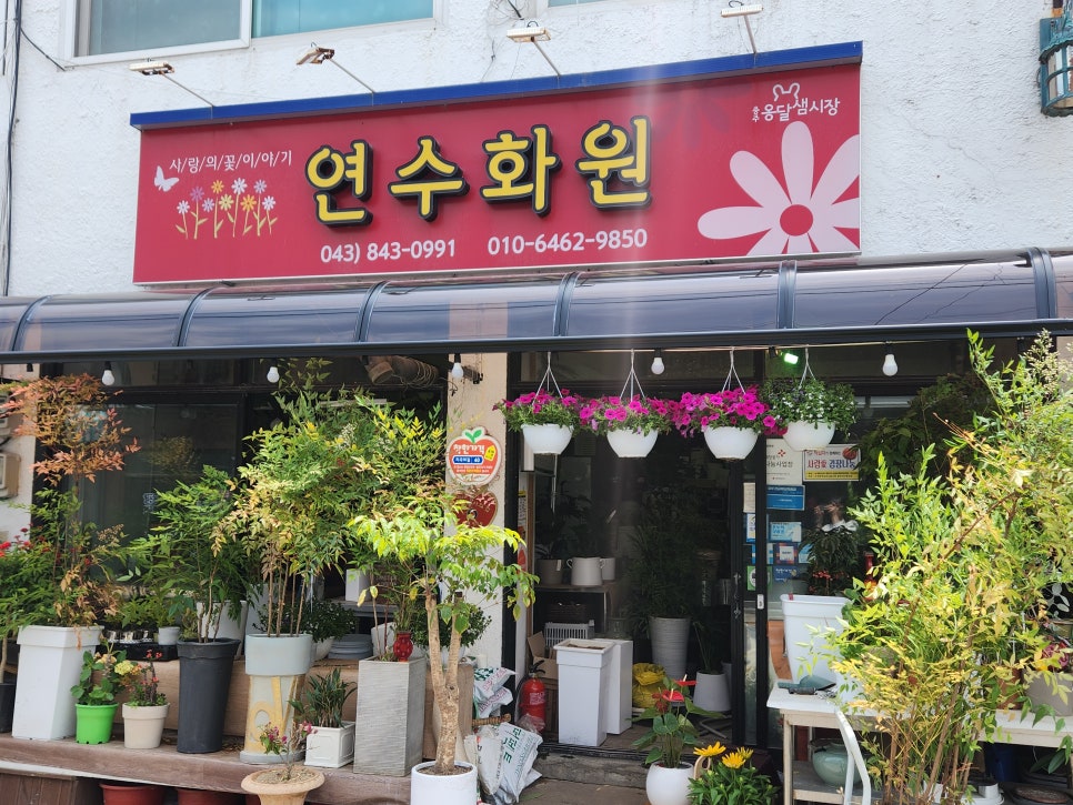 연수꽃화원 이미지