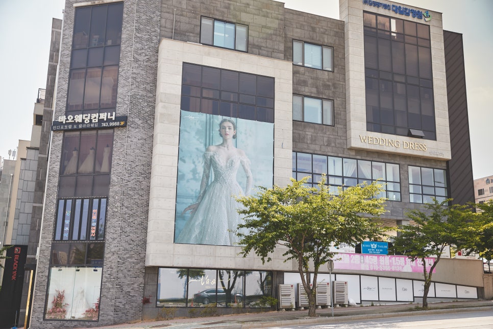더바오컴퍼니 이미지