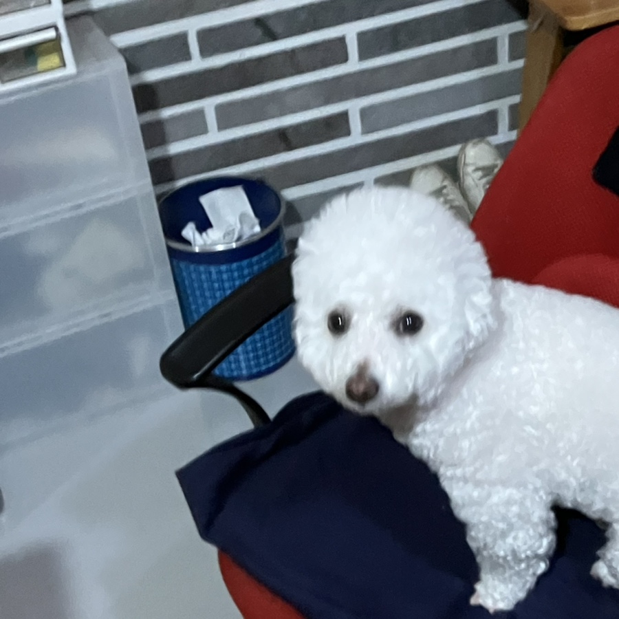 천사노래연습장 이미지