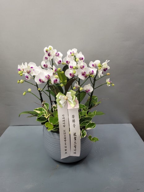 우리꽃배달 이미지