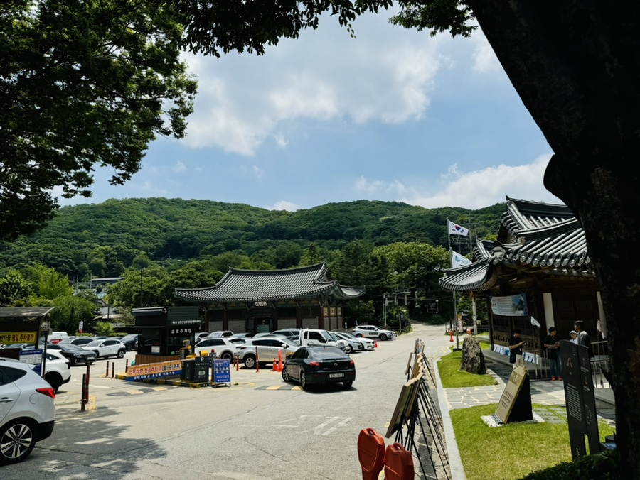 꽃길로731 이미지