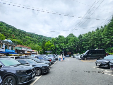 온정오골계숯불구이막국수 이미지