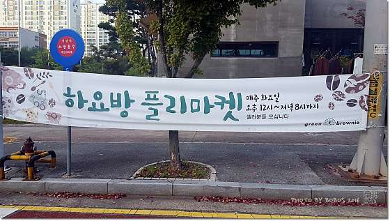 그린브라우니 이미지