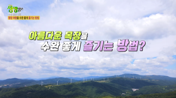 평창송어회 이미지