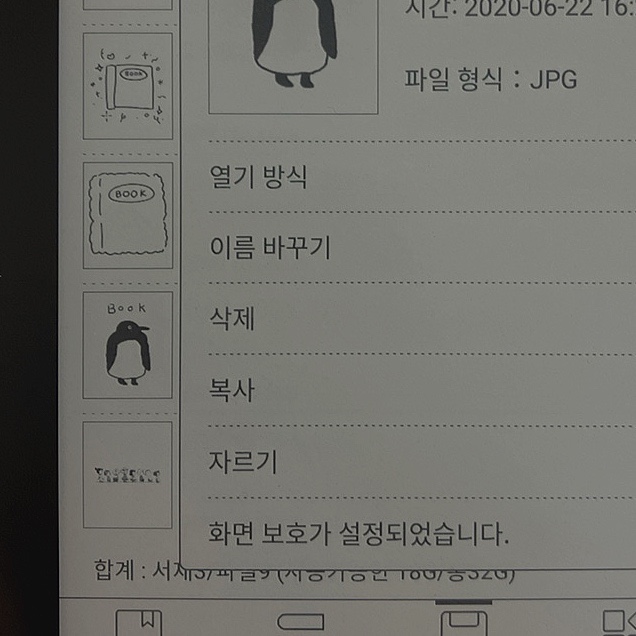 오닉스 이미지