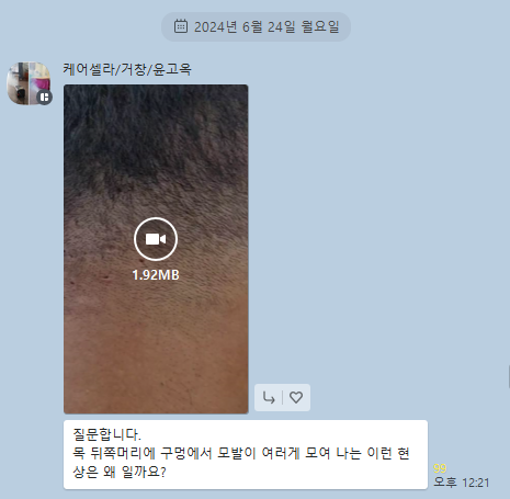 진여헤어 이미지