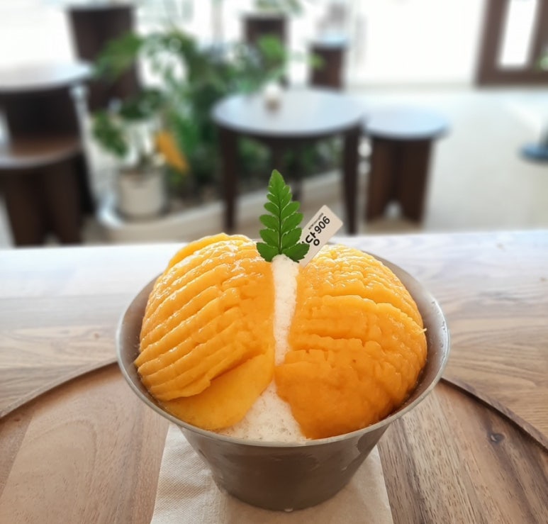 미미당906 이미지