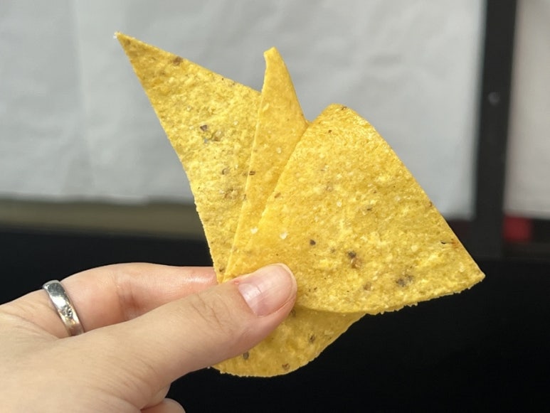 파체리토 이미지