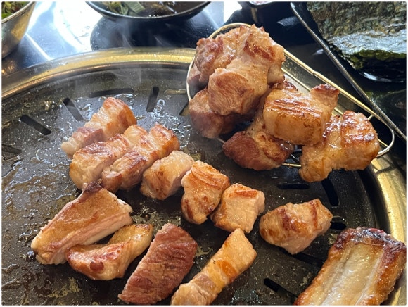 못생긴뚱돼지불당 이미지