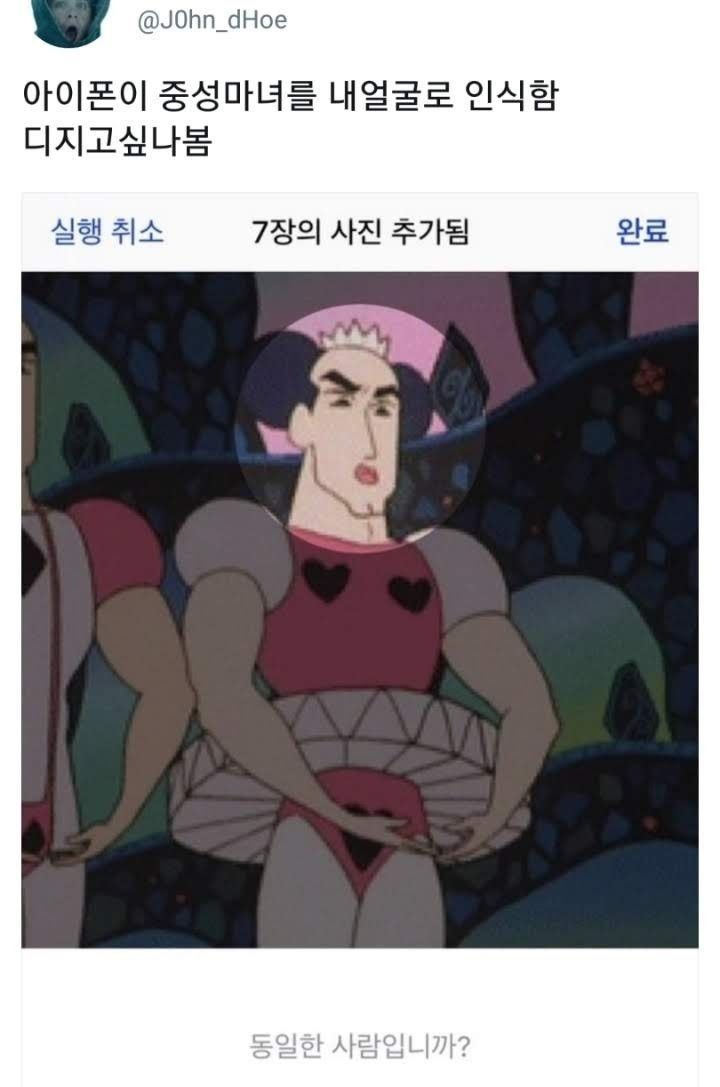 이끼와돌 이미지