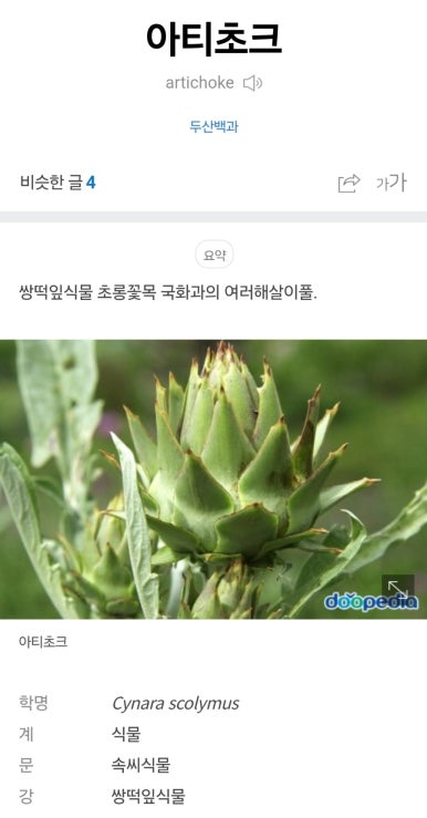 리노브(LINNOV) 이미지