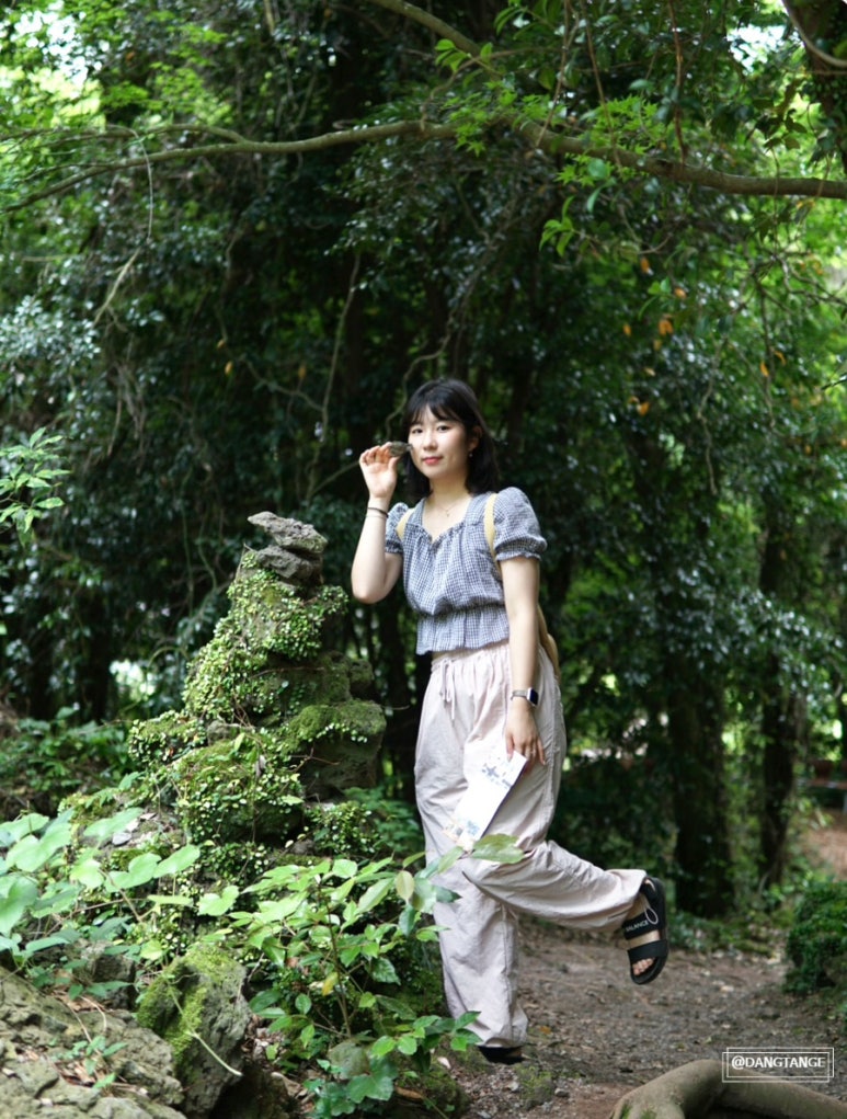 이칠사 이미지