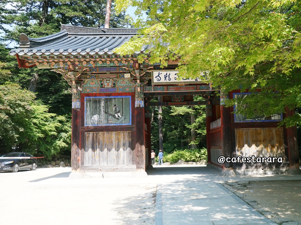 600마지기가는길야영장 이미지