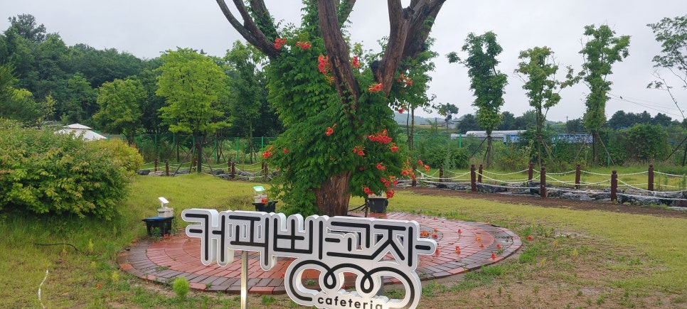 커피빵공장 이미지