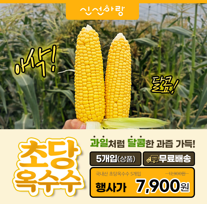타임29 이미지