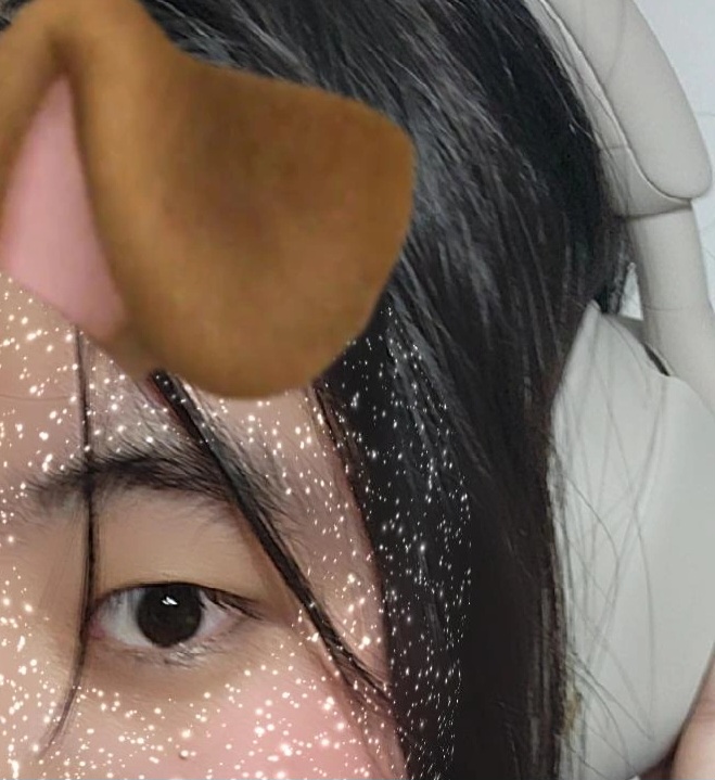 헤슈텍 이미지