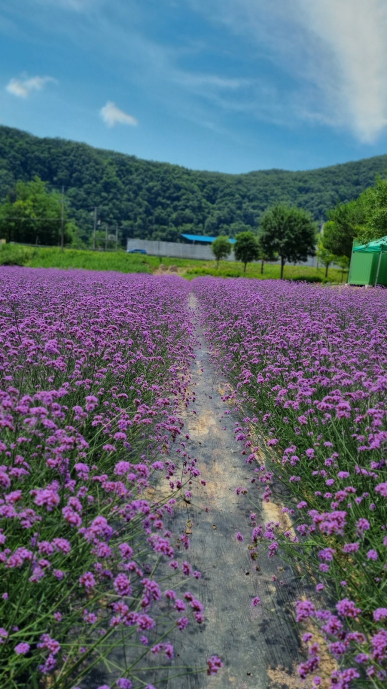 소백산공방 이미지