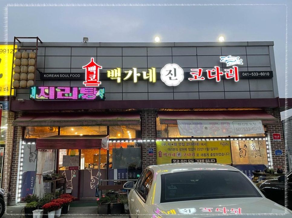 건강코다리 이미지