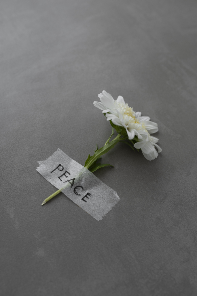 소중한선택 이미지