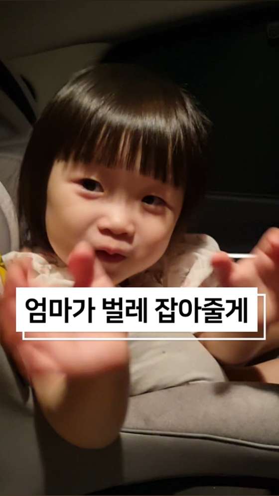무릉이가 이미지