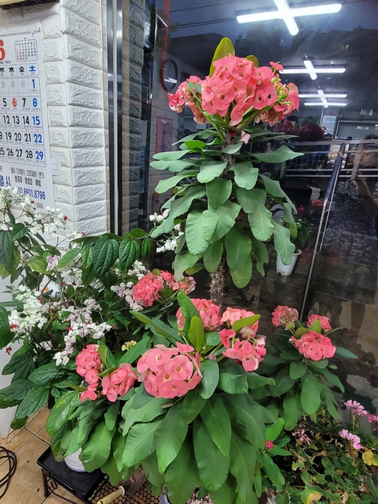 숙이네미용실 이미지